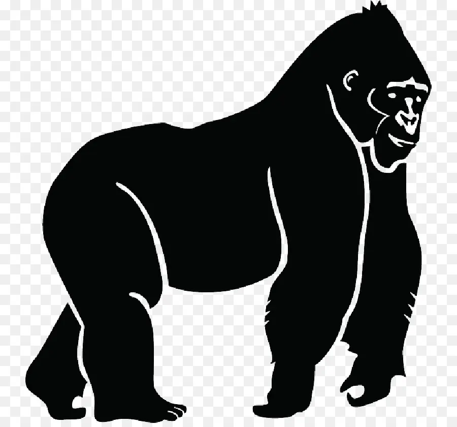 Gorila，Ape PNG