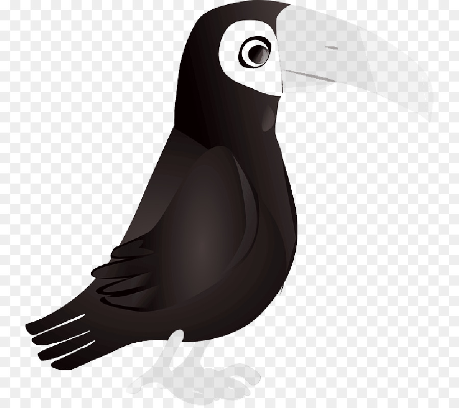 Aves，Bico PNG