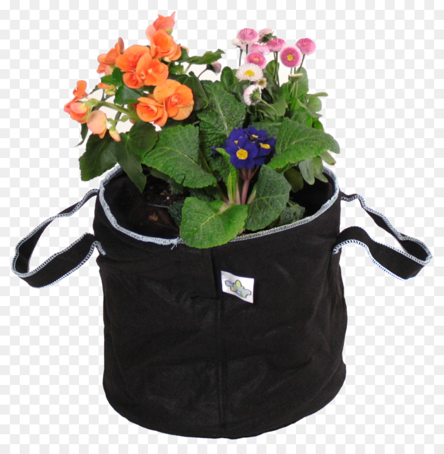 Flowerpot，Jardim Do Recipiente PNG