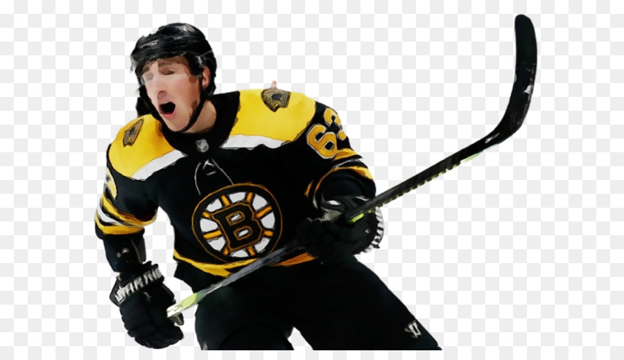 Boston Bruins，Liga Nacional De Hóquei PNG