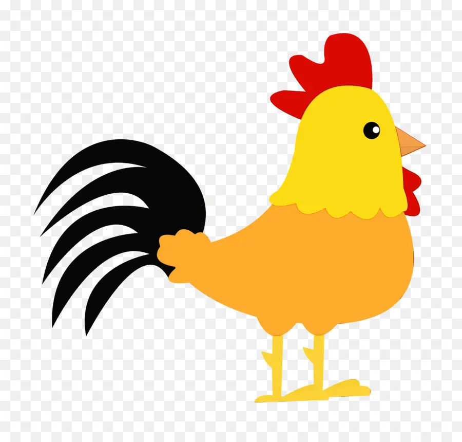 Galo，Frango PNG