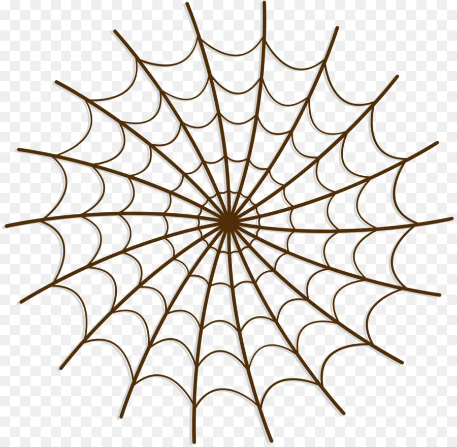 Teia De Aranha，Aranha PNG