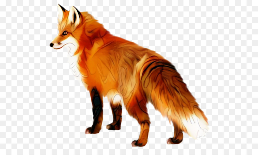 Fox，Raposa Do ártico PNG