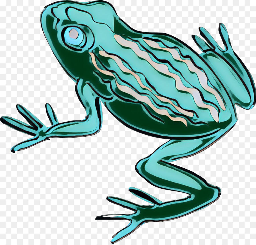 Toad，Verdadeiro Sapo PNG