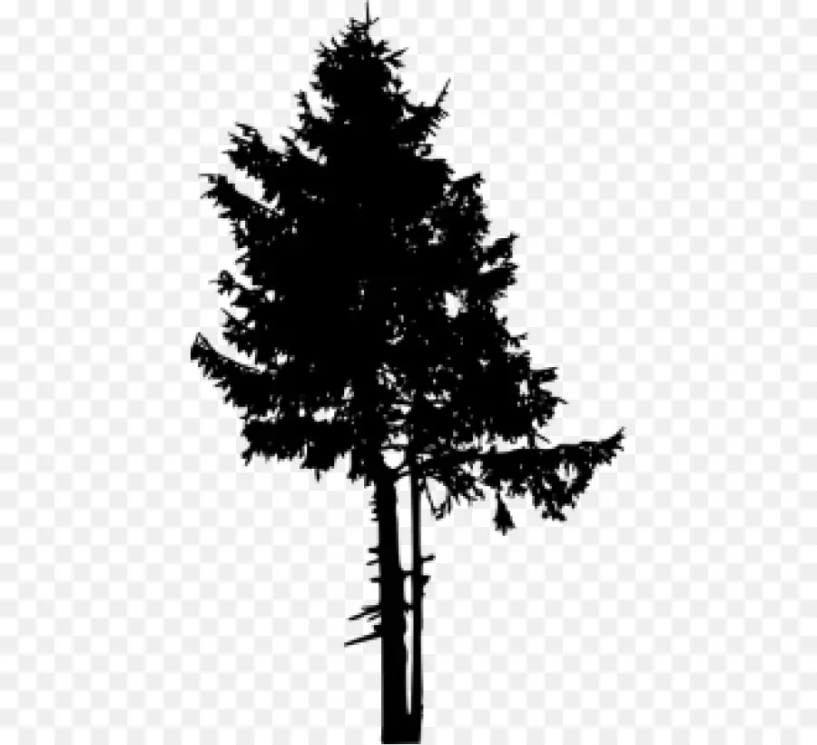 Pine，Silhueta PNG