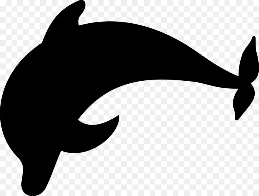 Dolphin，Silhueta PNG