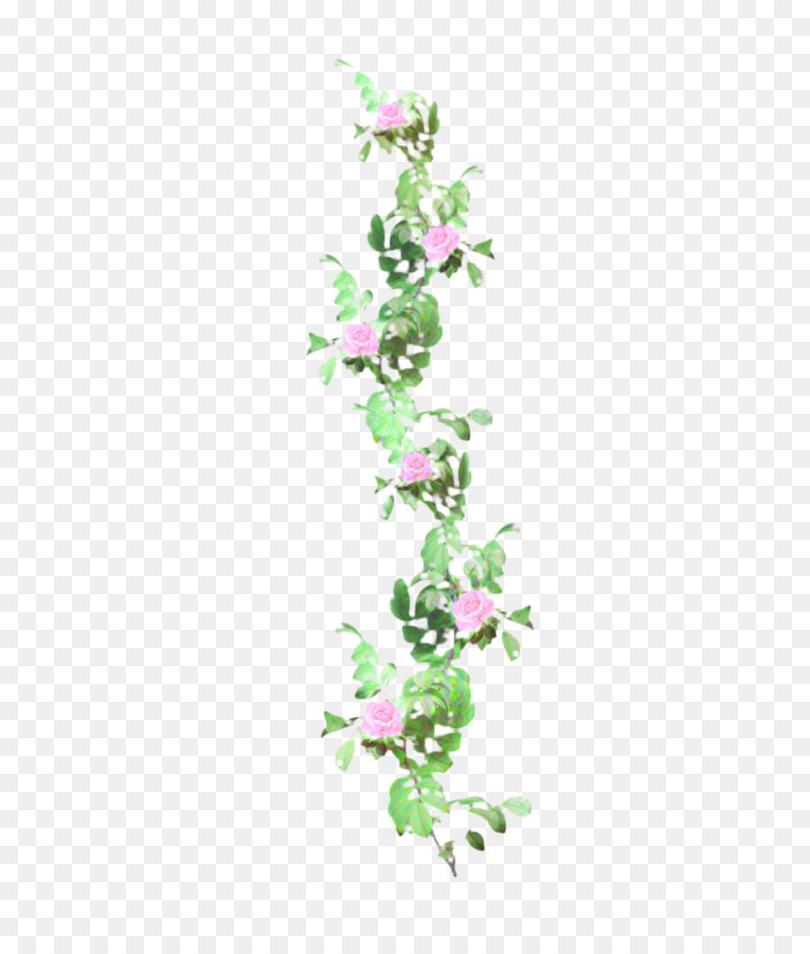 Planta De Haste，Folha PNG