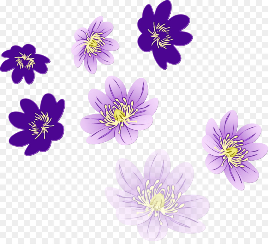 Flores Roxas，Florescer PNG