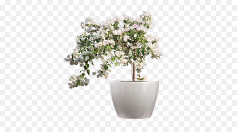 Flowerpot，Fibra De Vidro PNG