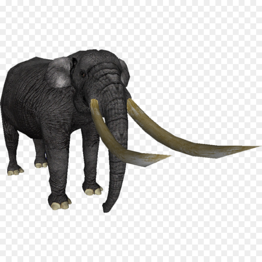 Elefante，Mamífero PNG