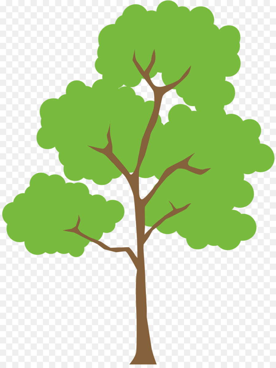 Árvore Verde，Natureza PNG