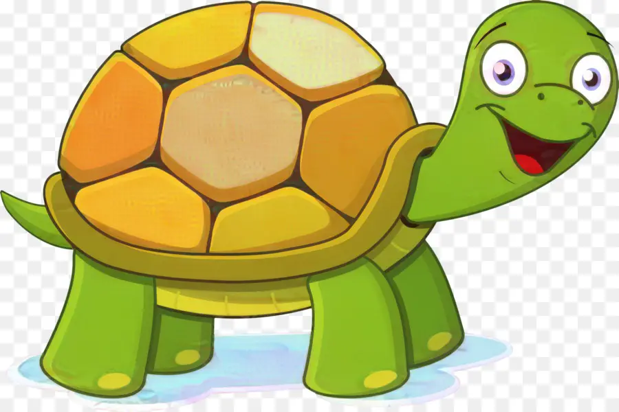 Turtle，Tartaruga PNG