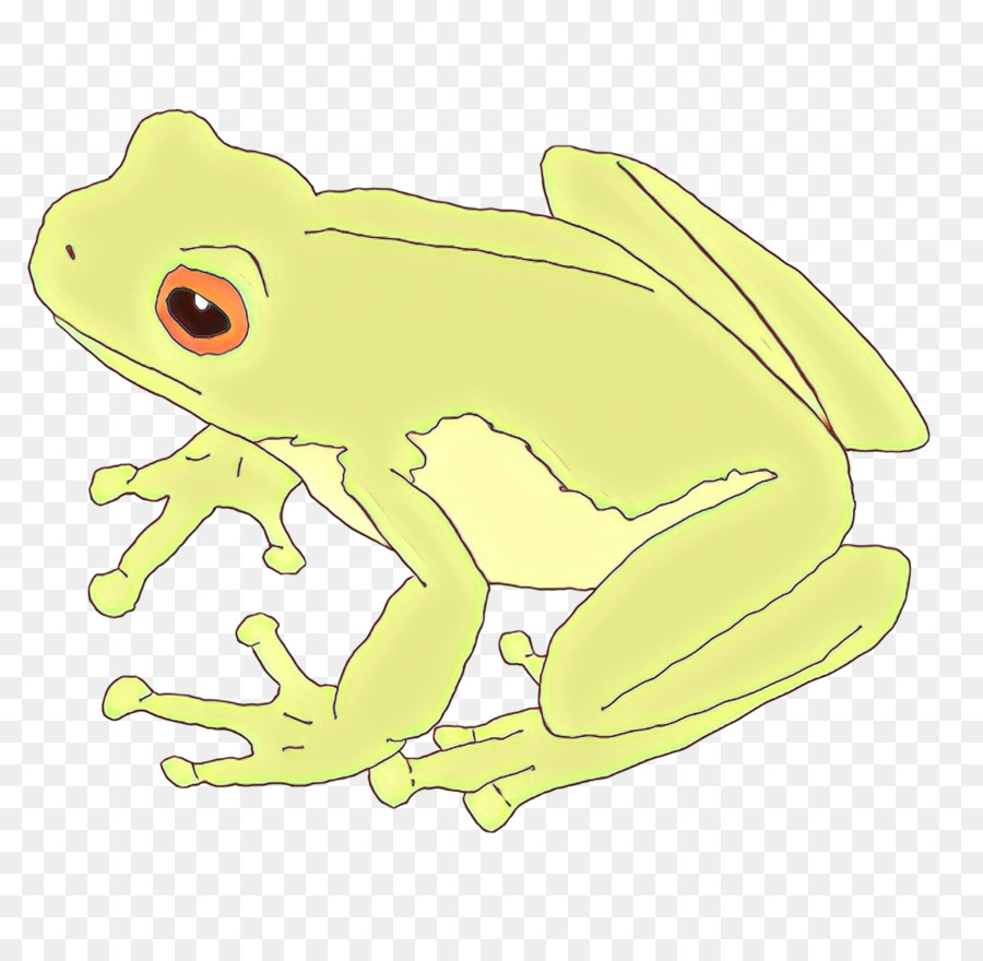 Sapo Verde Dos Desenhos Animados，Animal PNG