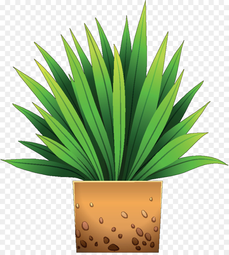 Flowerpot，Planta De Casa PNG