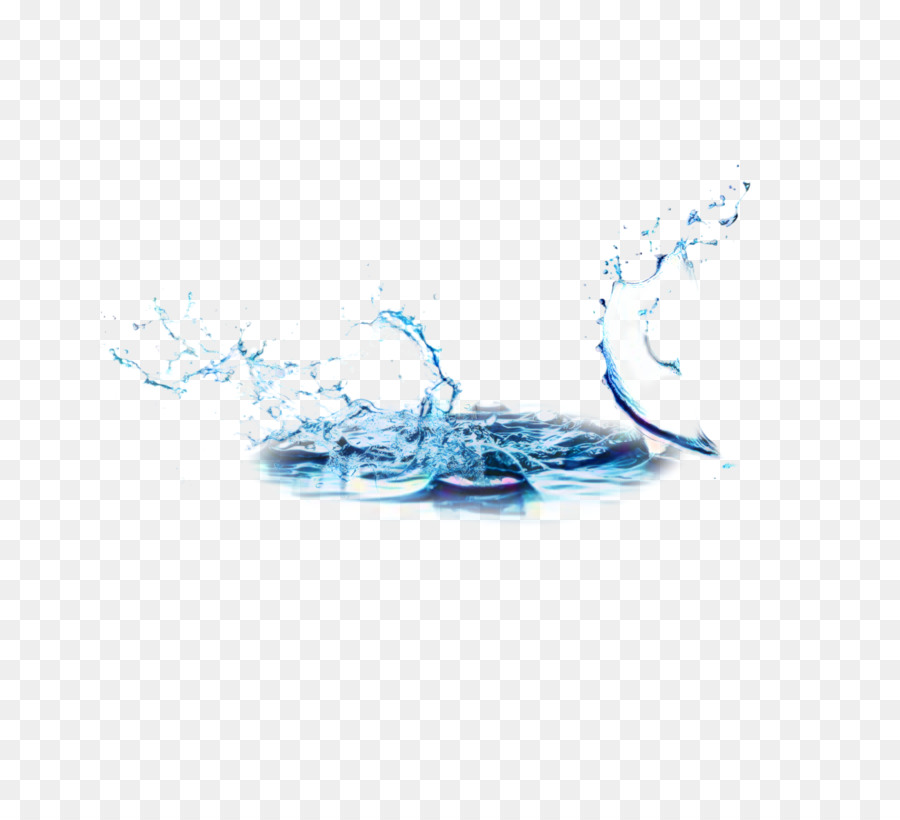 água，Organismo PNG