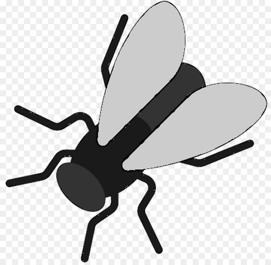 Mosquito，Erro PNG