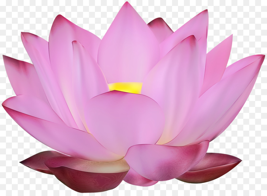 Vela De Lótus Rosa，Flor PNG