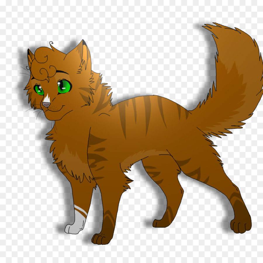 Gato，Felino PNG