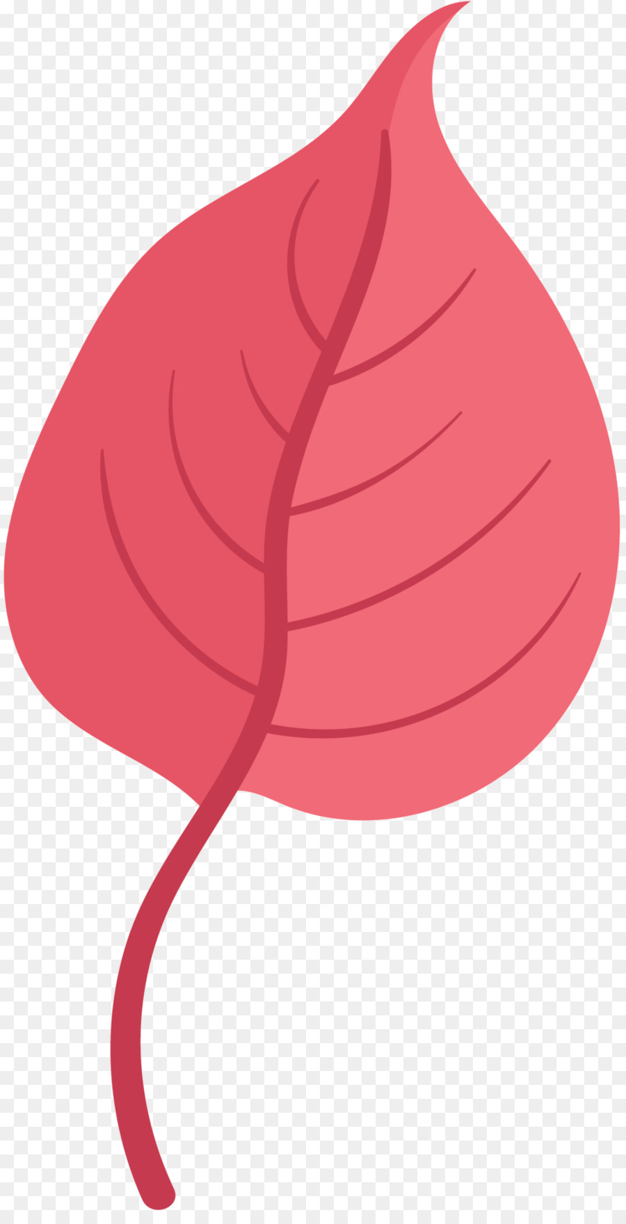 A Floração Da Planta，Folha PNG