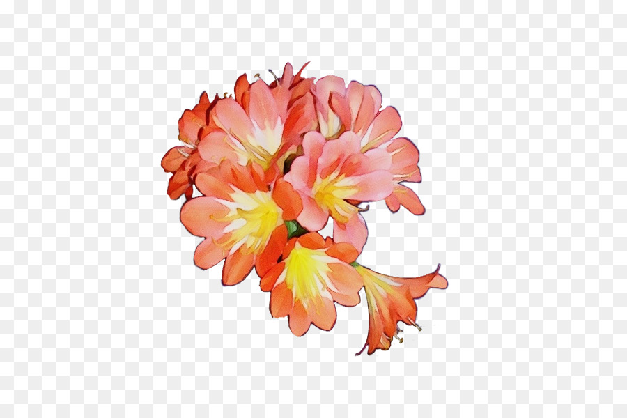 Design Floral，Flores De Corte PNG