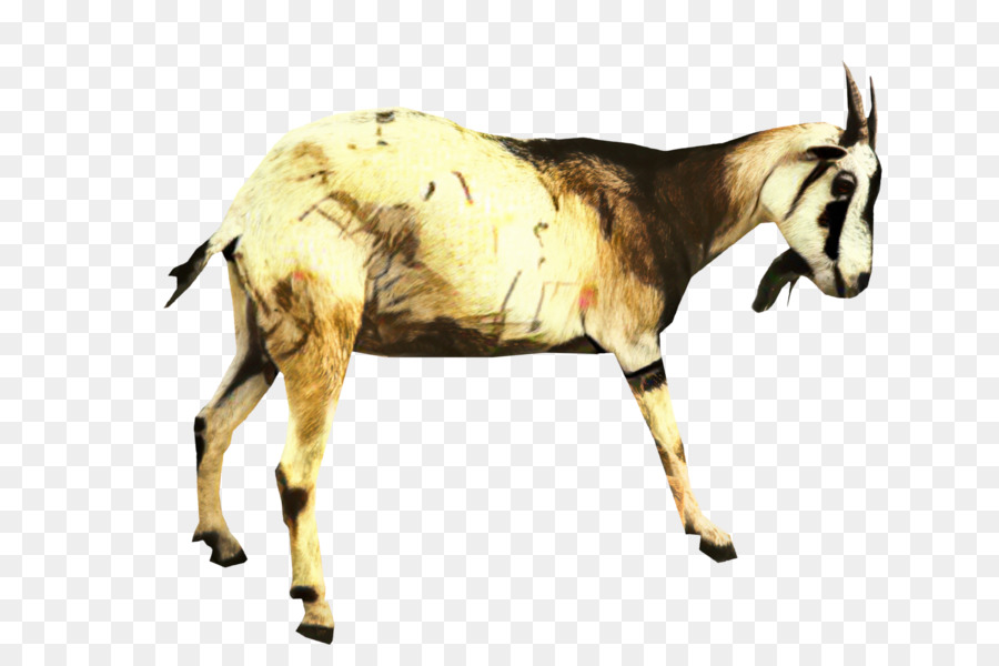 Burro，Fazenda PNG