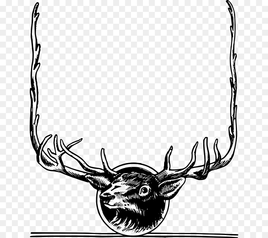 Deer，Whitetailed Veado PNG