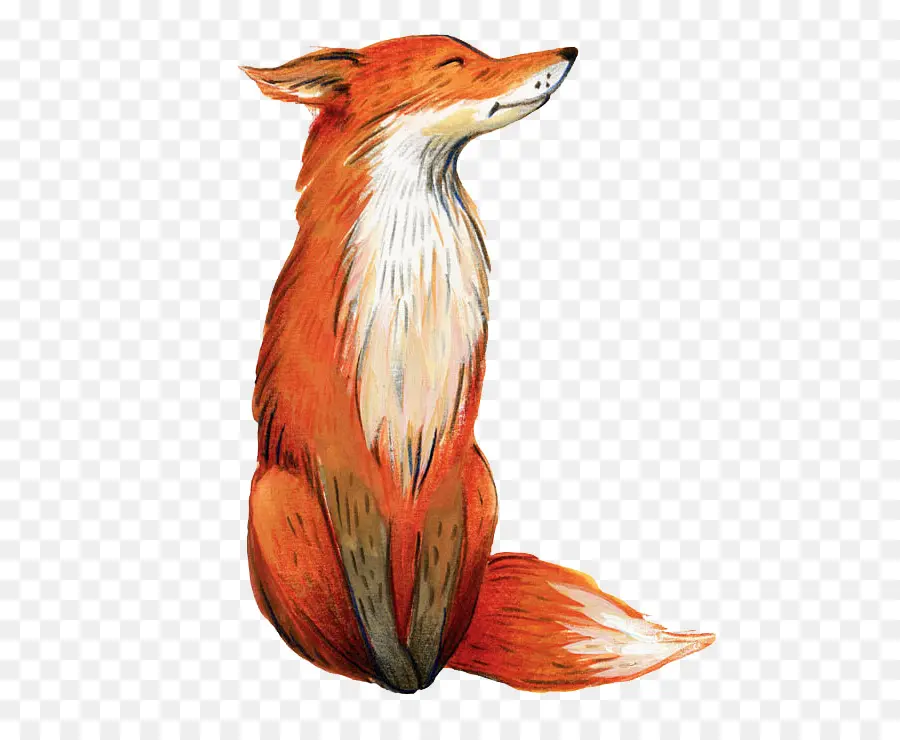 Pintura Em Aquarela，Fox PNG