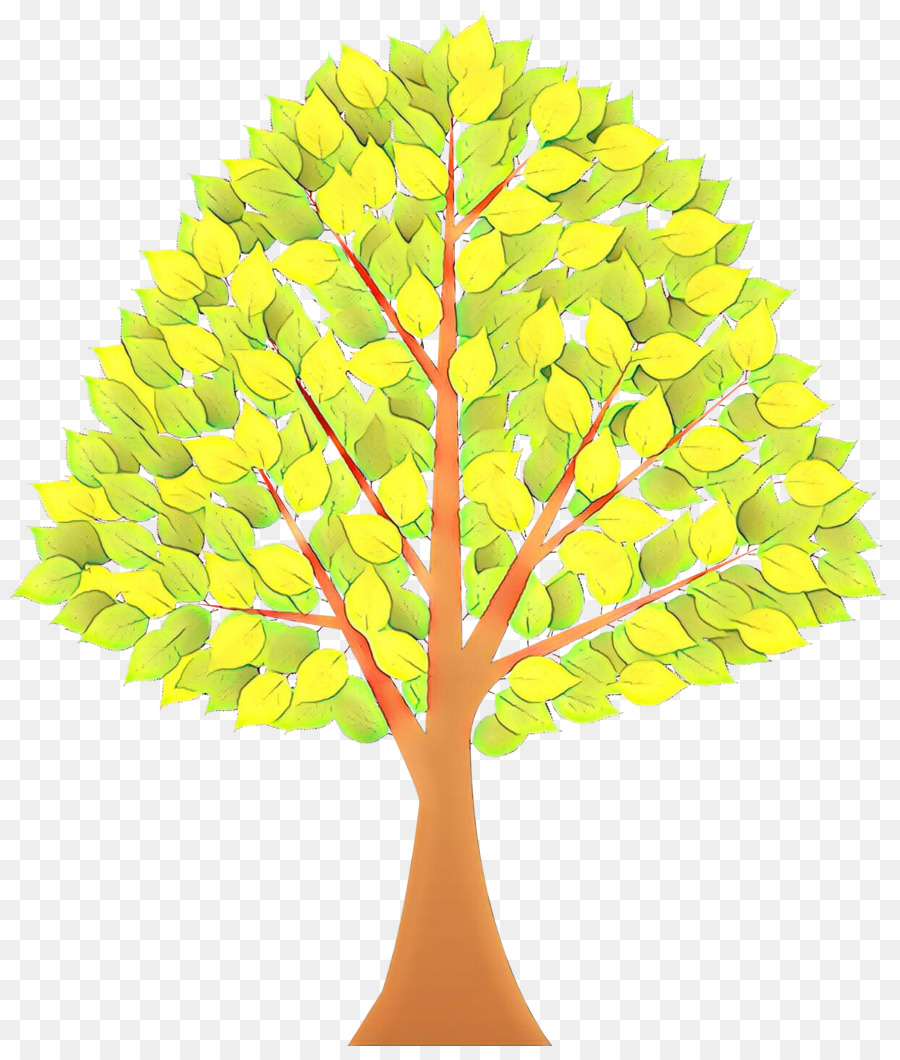Planta De Haste，árvore De Maidenhair PNG