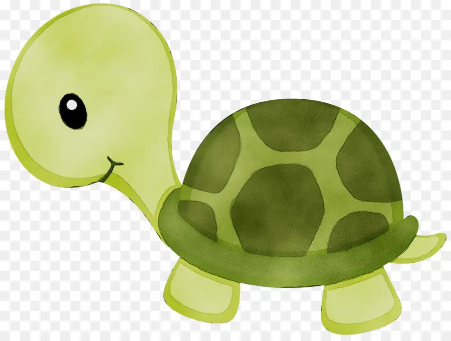 Turtle，Desenho PNG