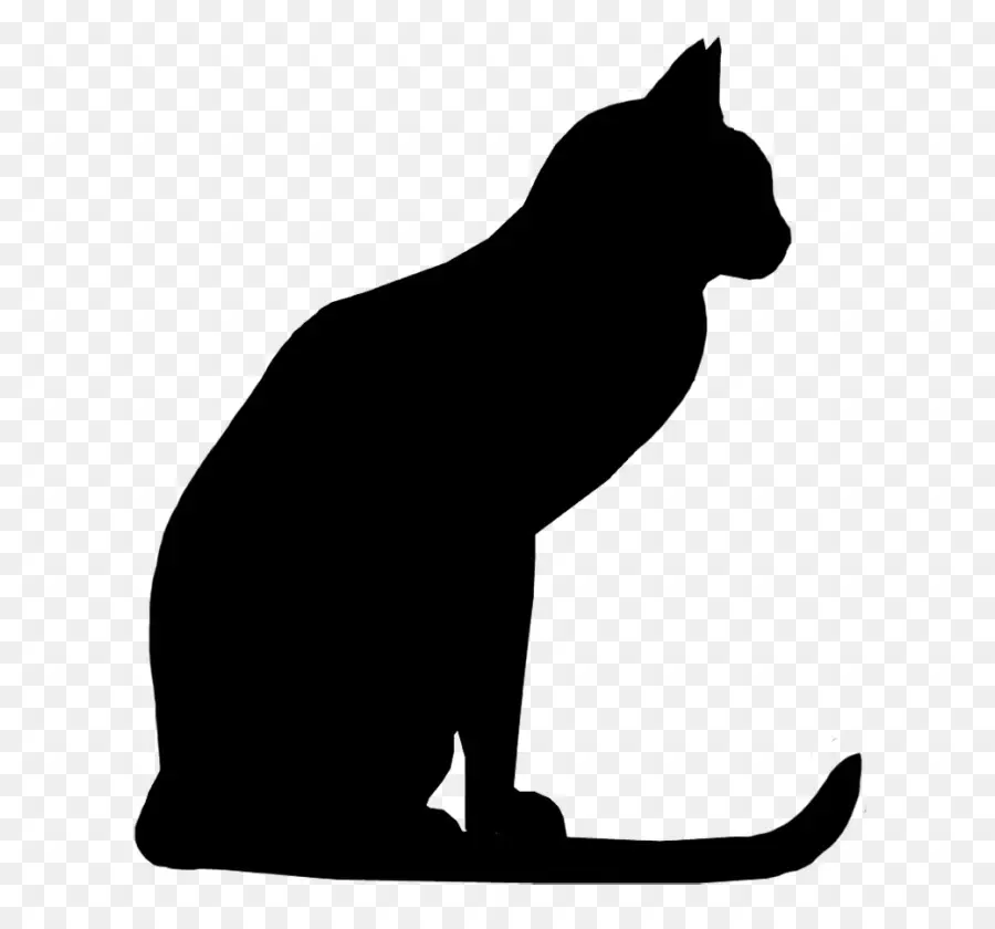 Gato，Silhueta PNG