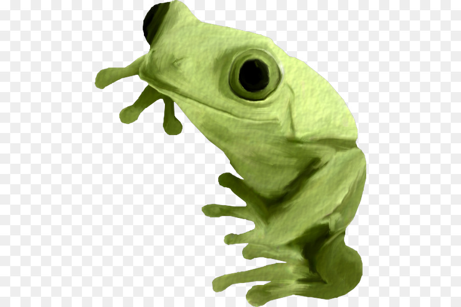 Sapo Verde，Sapo PNG