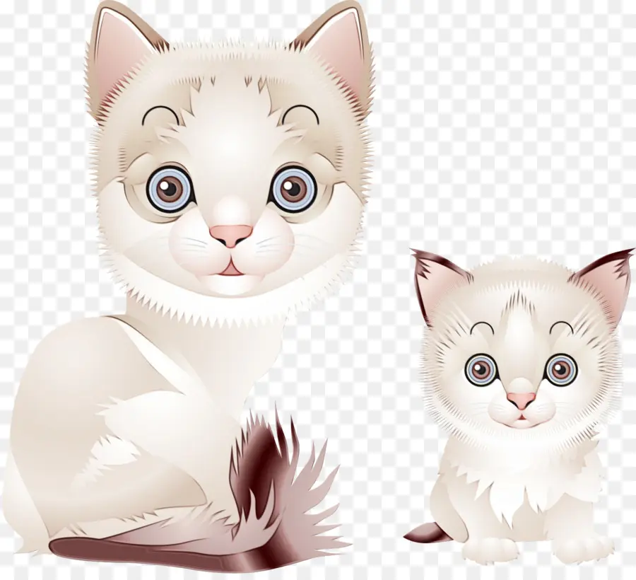 Gatos，Gatinho PNG