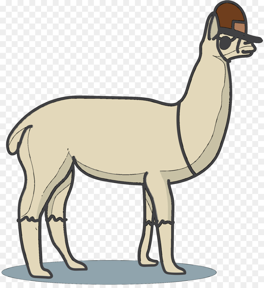 Lhama，Cavalo PNG