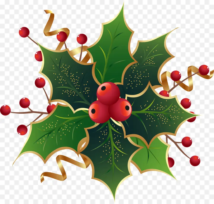 Christmas Day，Comum Holly PNG