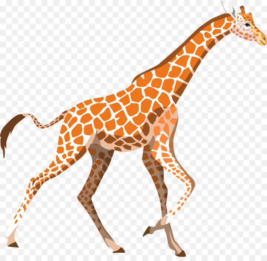 Girafa Azul，Girafa PNG