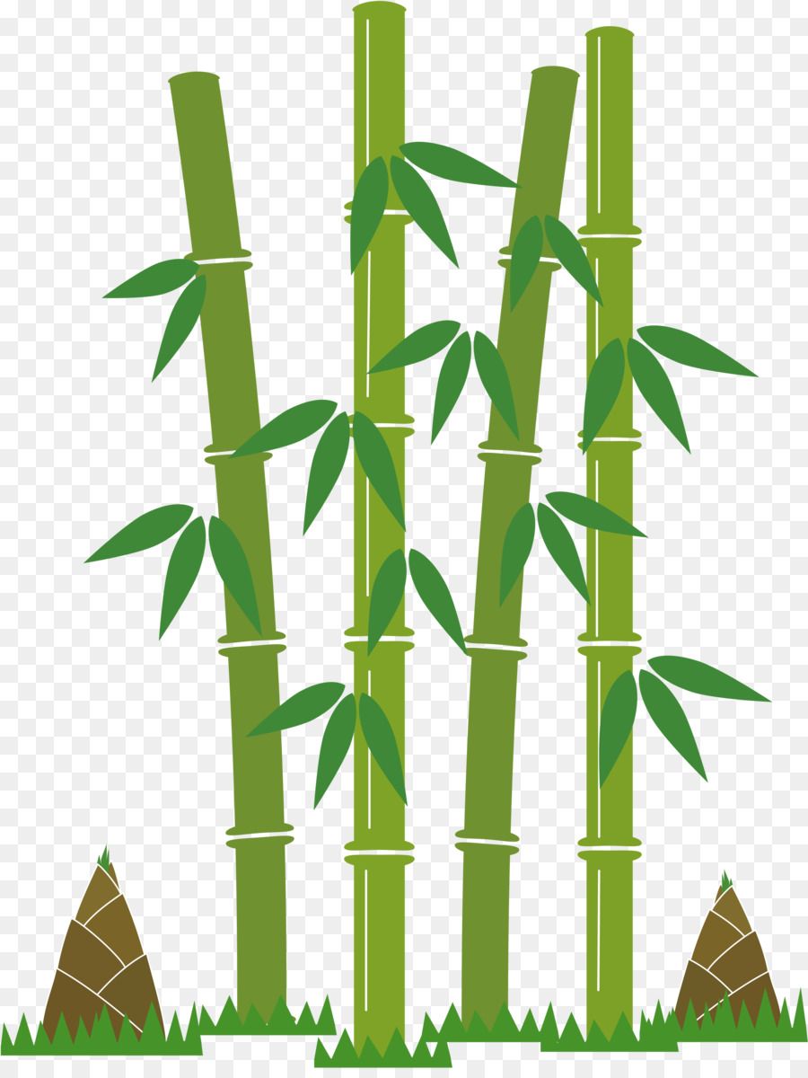 Bambu，Verde PNG