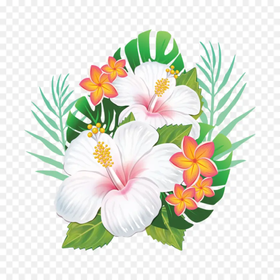 Havaí，Flor PNG
