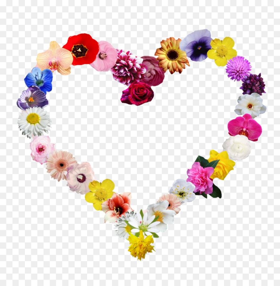 Flor，Design Floral PNG