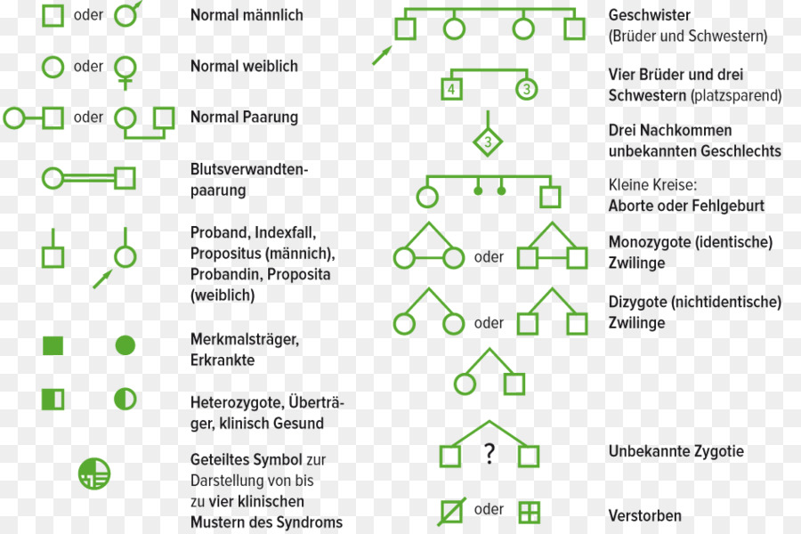 Gráfico De Linhagem，Genética PNG