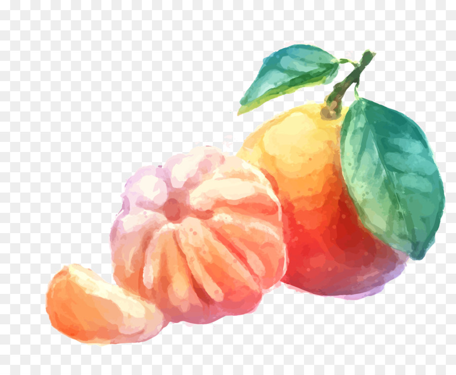 Laranja，Cítrico PNG