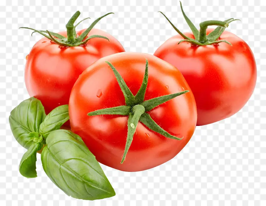 Tomates，Vegetal PNG