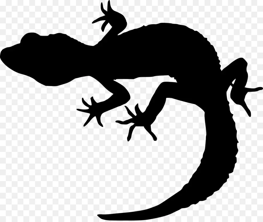 Gecko，Silhueta PNG