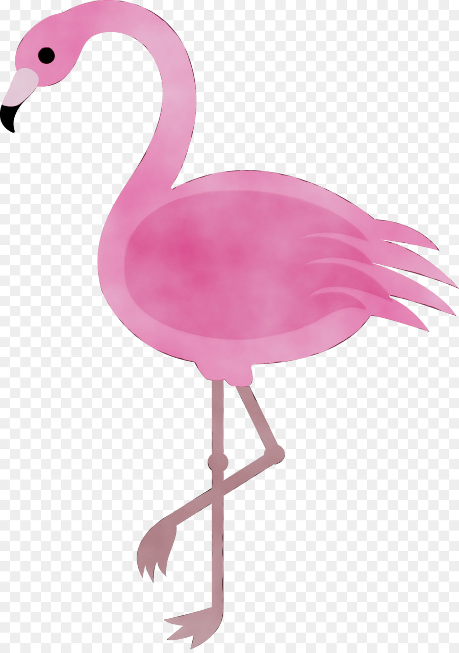 Cartoon，Flamingo PNG