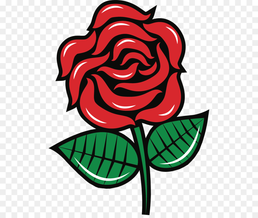 Rosas，Florescer PNG