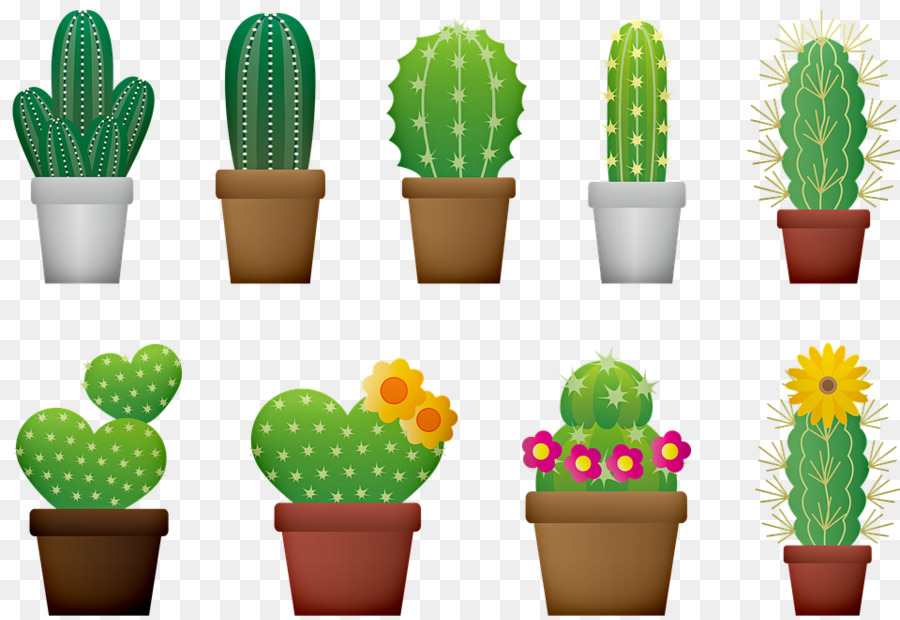 Cactus，Suculenta Planta PNG