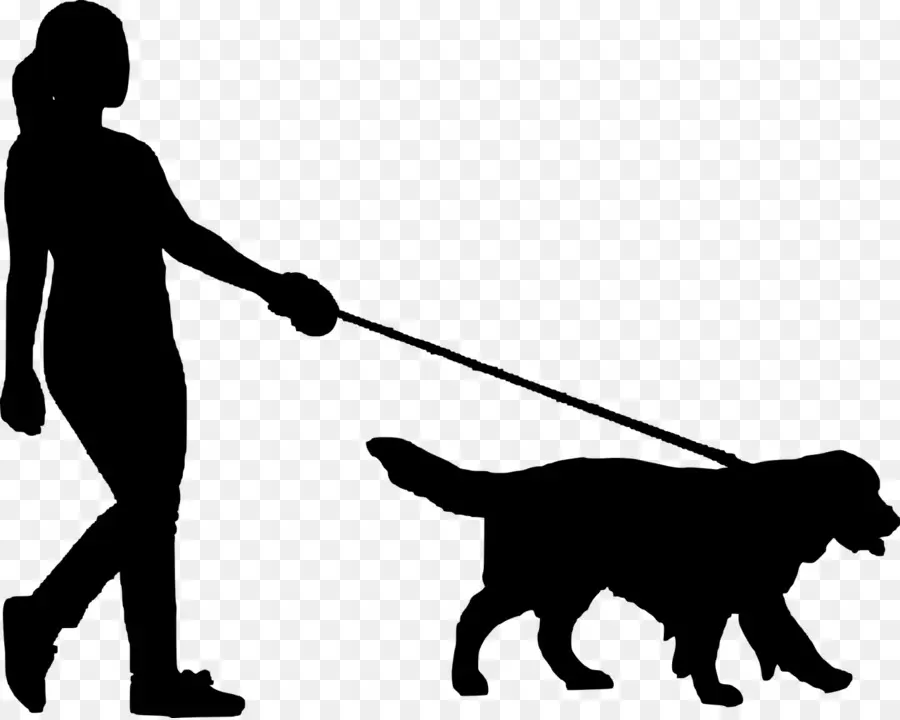 Cachorro，Passeio De Cães PNG