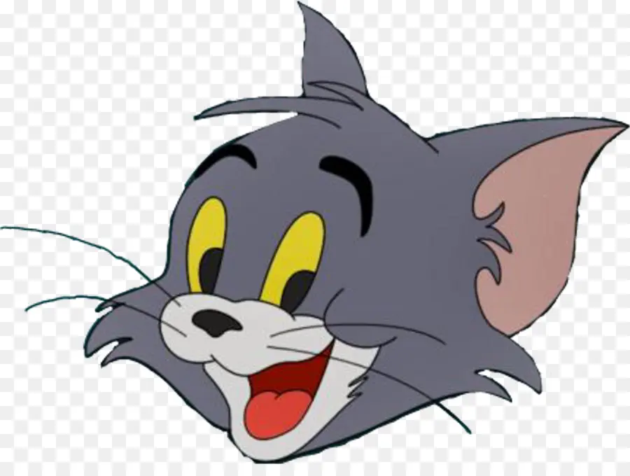 Tom，Gato PNG