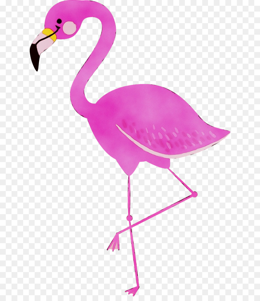 Flamingo Rosa，Pássaro PNG