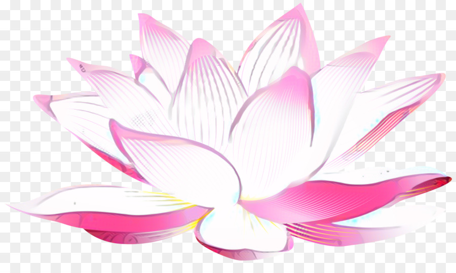 Vela Lótus Rosa，Flor PNG