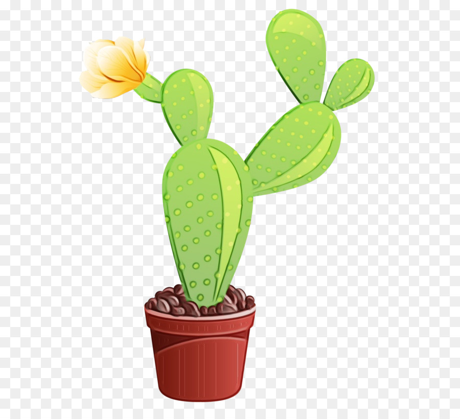 Cactus，Planta De Haste PNG